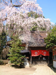 朝日稲荷